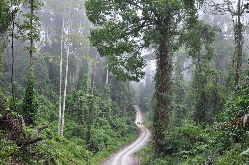 Danum Valley, Sabah