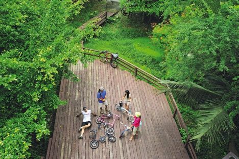 Biking in Bang Krachao