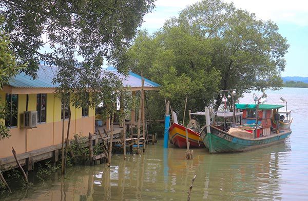 Kuala Teriang, Langkawi, Malaysia. Image courtesy of Vanessa Workman.