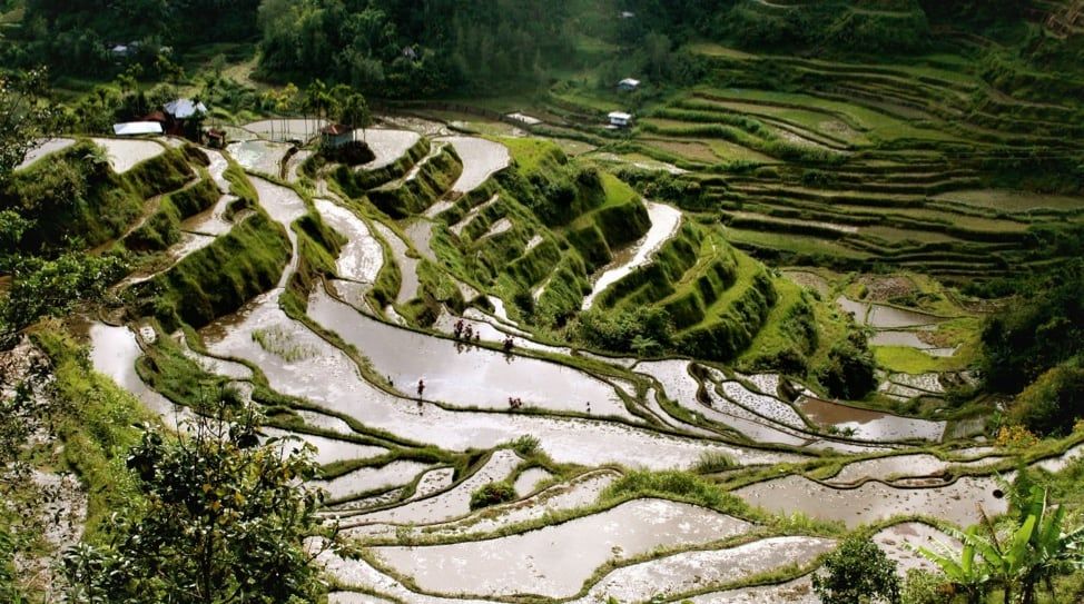 Banaue Rice Terraces / Jon Rawlinson / CC-BY-2.0 / Flickr