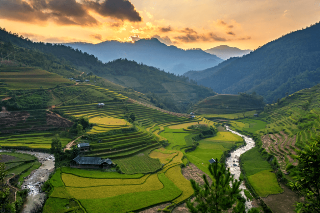 Banaue Rice Terraces / Shutterstock