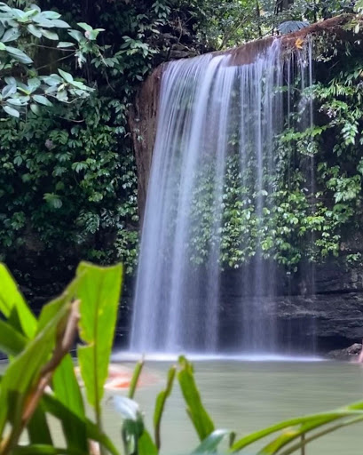 Surrounded by lush flora, Bukit Teraja is a 4.6-mile trail in Labi, Brunei.