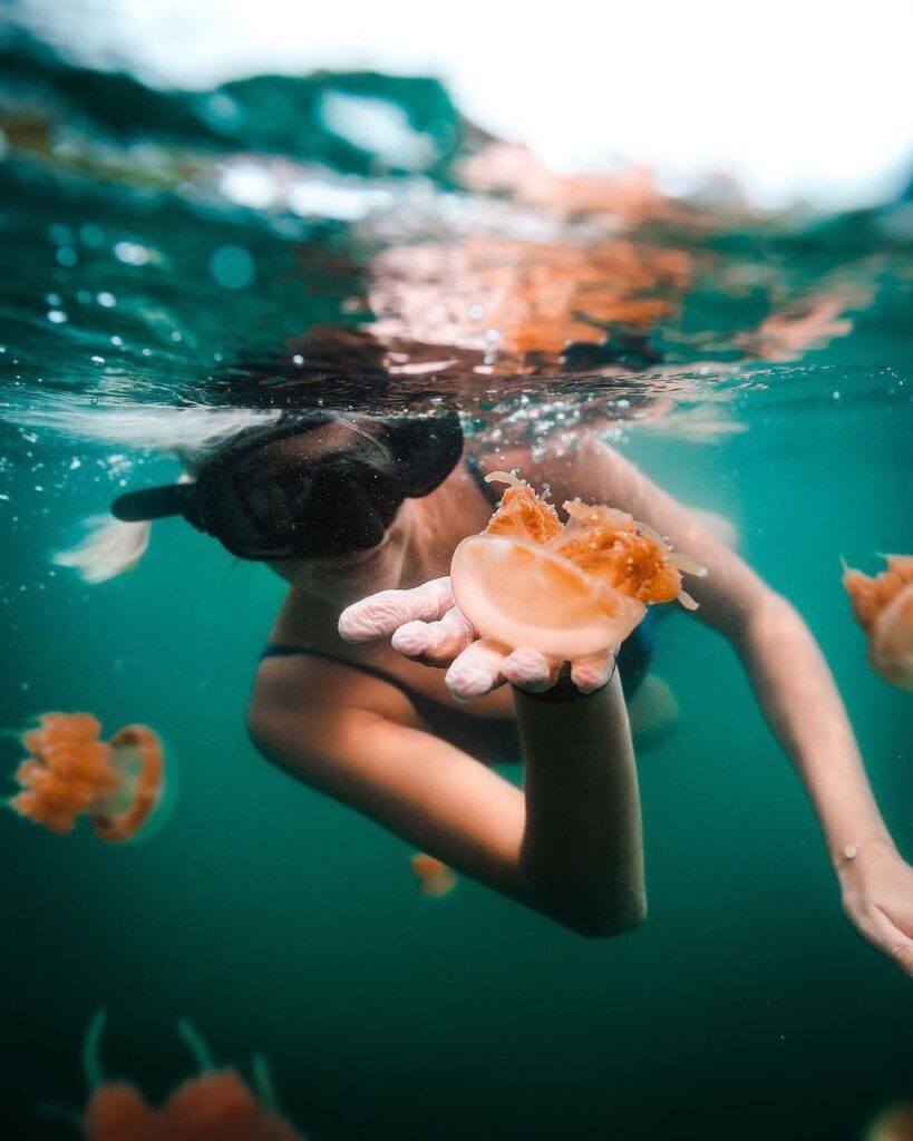 Kakaban Island draws sea lovers to its shores.